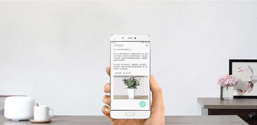 Универсальный анализатор почвы и освещенности Xiaomi Smart Flower Monitor-описание
