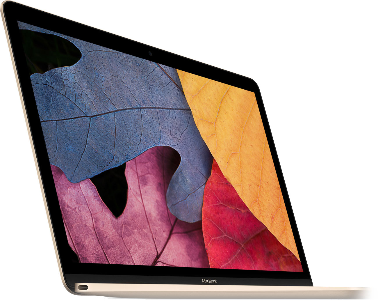 Дисплей MacBook