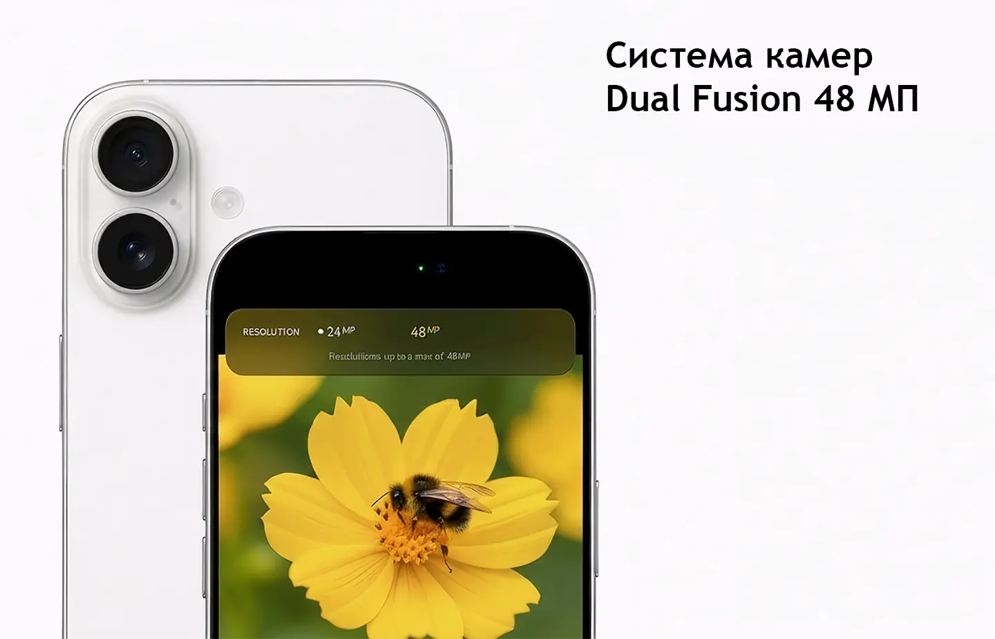 Показана камера Dual iPhone 17