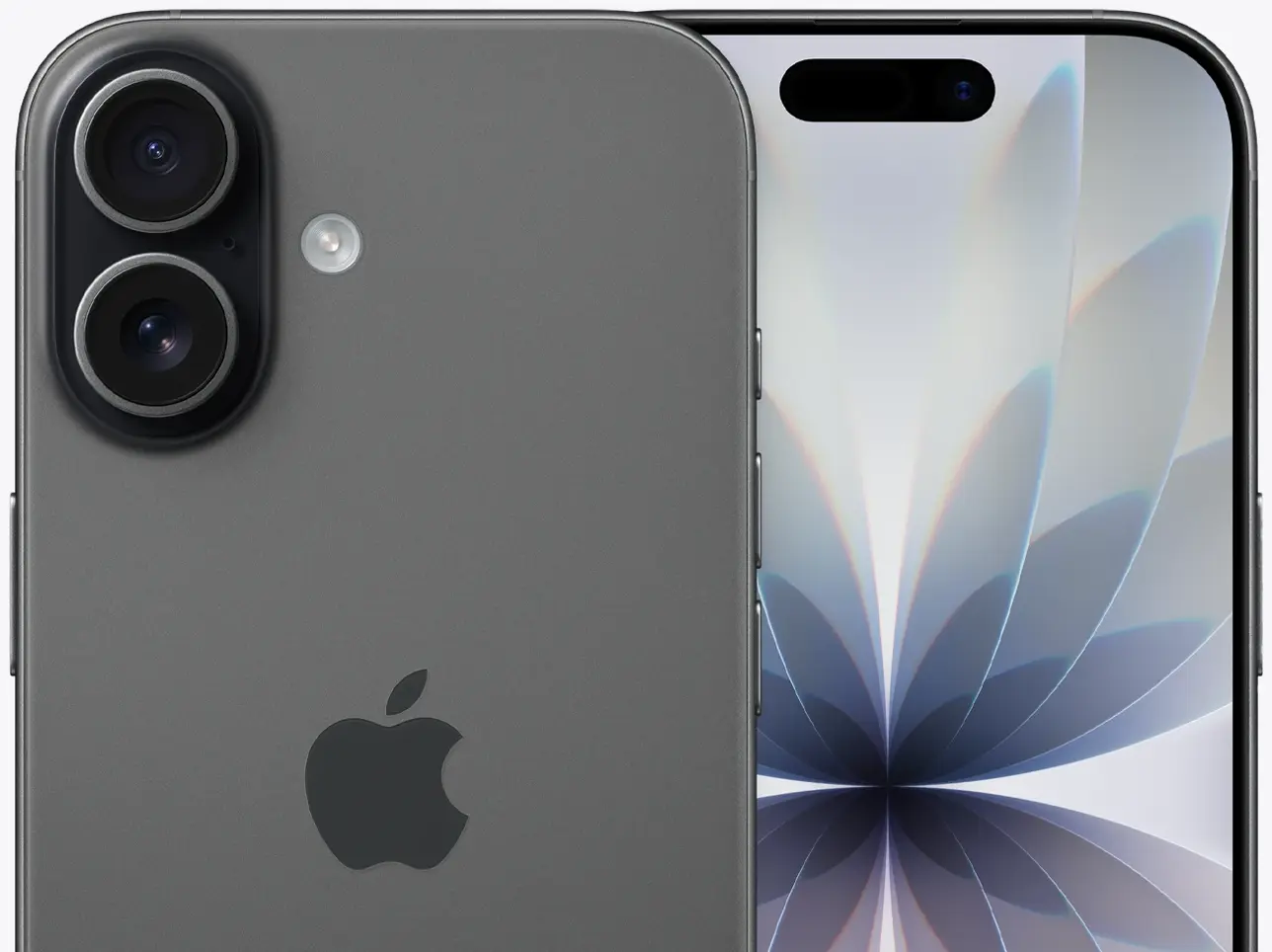 Вид дисплея на iPhone 17 Черный