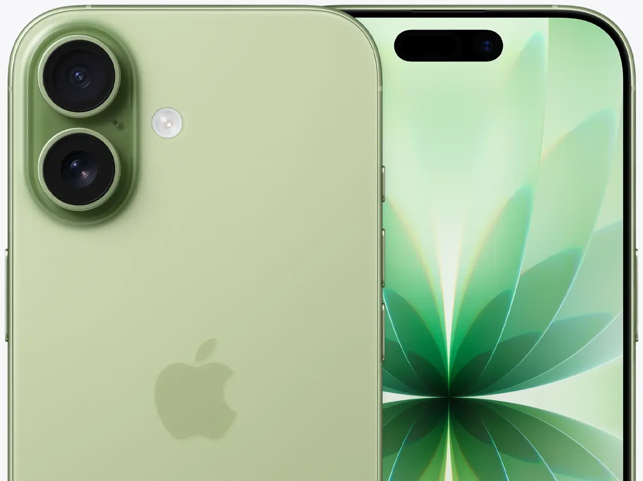 Вид дисплея на iPhone 17 Шалфейный зелёный