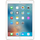 Apple iPad Pro 9.7 Wi-Fi 256GB Gold (золотистый)