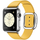 Apple Watch 38 мм, нержавеющая сталь, ремешок 160–180 мм цвета «весенняя мимоза» с современной пряжкой (MMFG2)