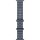 Apple Watch Ultra 3 (2025), 49 мм, корпус «чёрный титановый», ремешок Ocean «якорный синий» (M/L) фото 3