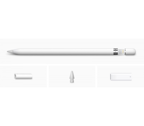 Apple Pencil (Для других стран) - фото 4