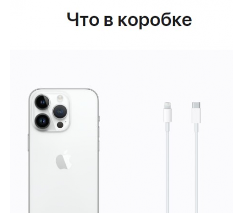 Apple iPhone 14 Pro, 256 ГБ, серебристый - фото 10