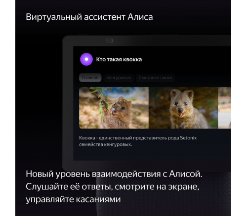 Мультимедиа-платформа Яндекс.Станция Дуо Макс (черный) - фото 9