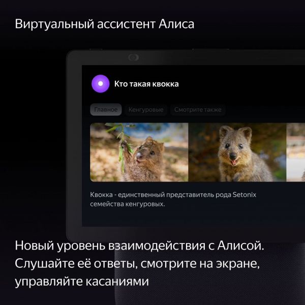 Мультимедиа-платформа Яндекс.Станция Дуо Макс (черный) - фото 9