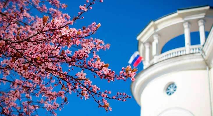 Поздравляем с майскими праздниками!