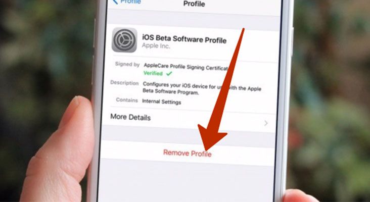 Как удалить бета-версию iOS 14 с айфона